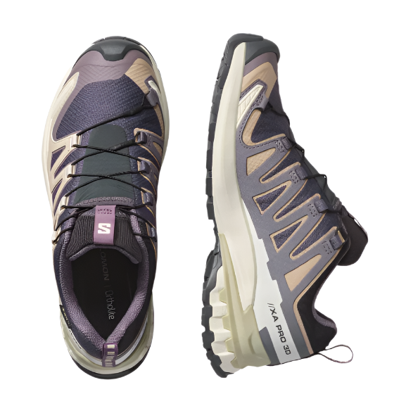 Salomon Womens Trainer XA Pro 3D V9 GTX Nine Iron/Oxford Tan/Alfalfa