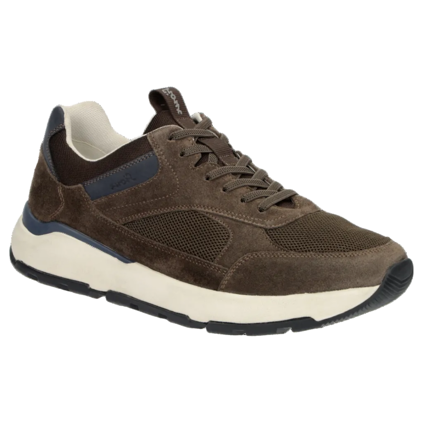Sioux Mens Trainer Rogerlino-700 Pinebark