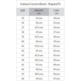 Dubarry Galway boot size chart