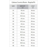 Dubarry Womens Boot Galway Boot Brown