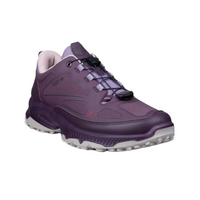 Ecco Womens Trainer Receptor XP GTX INV Fit Mauve