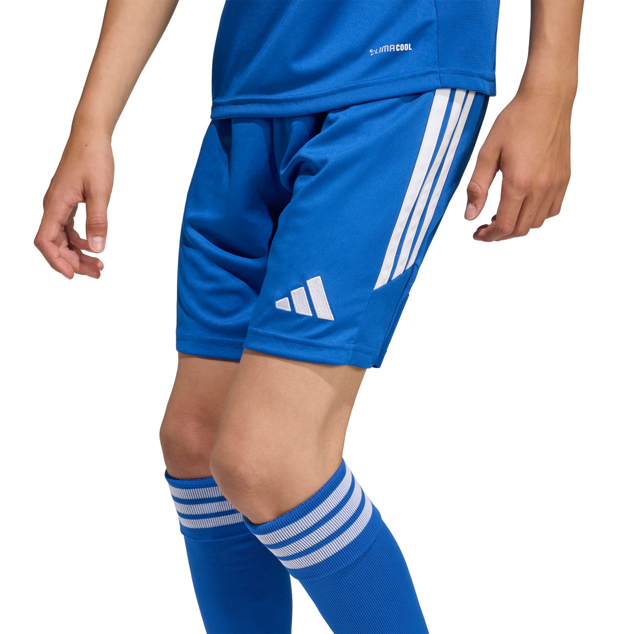 Adidas Youth Tiro 26 League Shorts Royal Blue