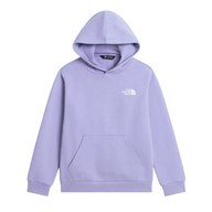 The North Face Girls Hoodie Evolution Box NSE Pale Plum