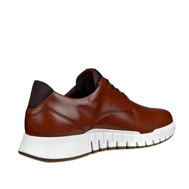 Ecco men's mocha leather lace-up shoe