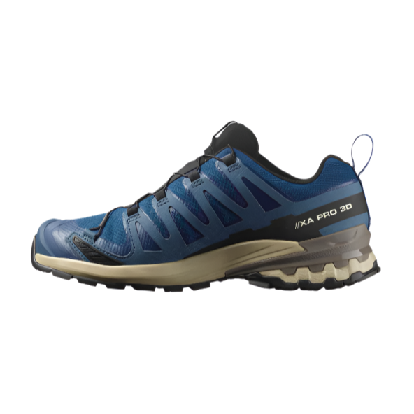 Salomon Mens Trainer XA PRO 3D V9 GTX Poseidon/White Pepper/Falcon
