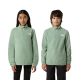 The North Face Teens Pullover Glacier 1/4 Zip Slate Moss - NF0A8CVG BQ11