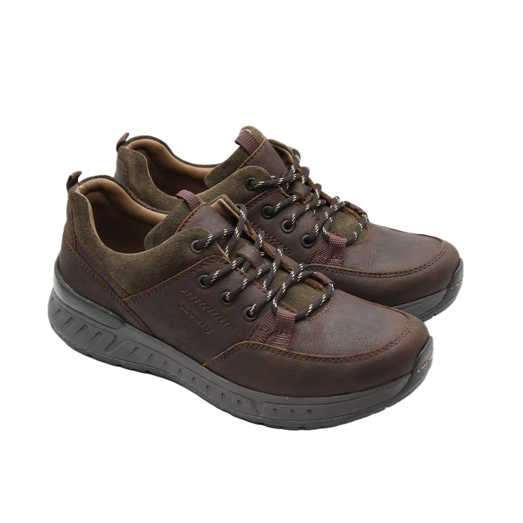 Dubarry Mens Trainer Stamford Mahogany