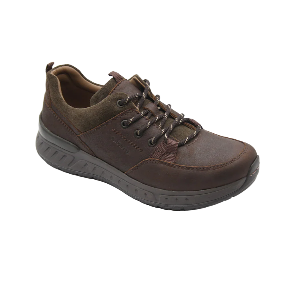 Dubarry Mens Trainer Stamford Mahogany