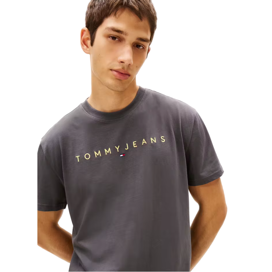 Tommy Jeans Mens Linear Logo Tee Washed Black