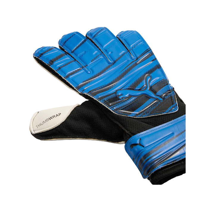 Puma men's blue goalkeeper gloves