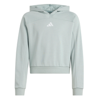 Adidas Girls Sweatshirt KB7048 WOSA/SILVMT
