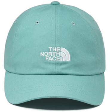 North face 2025 cap green