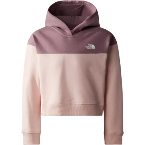 Pink north on sale face hoodie