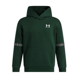 Under Armour Boys Hoodie Icon Fleece Taped Forest Green/Ivy White