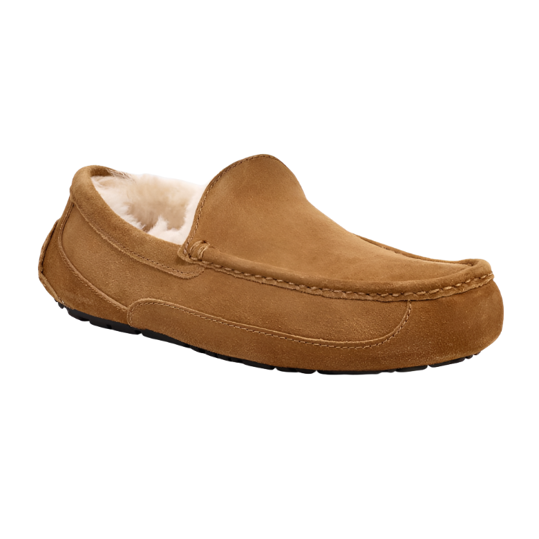 Ugg mens deals ascot