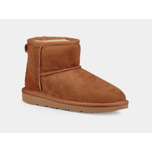 Mini ugg 2025 boots chestnut