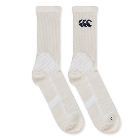 The British & Irish Lions men's cream socks